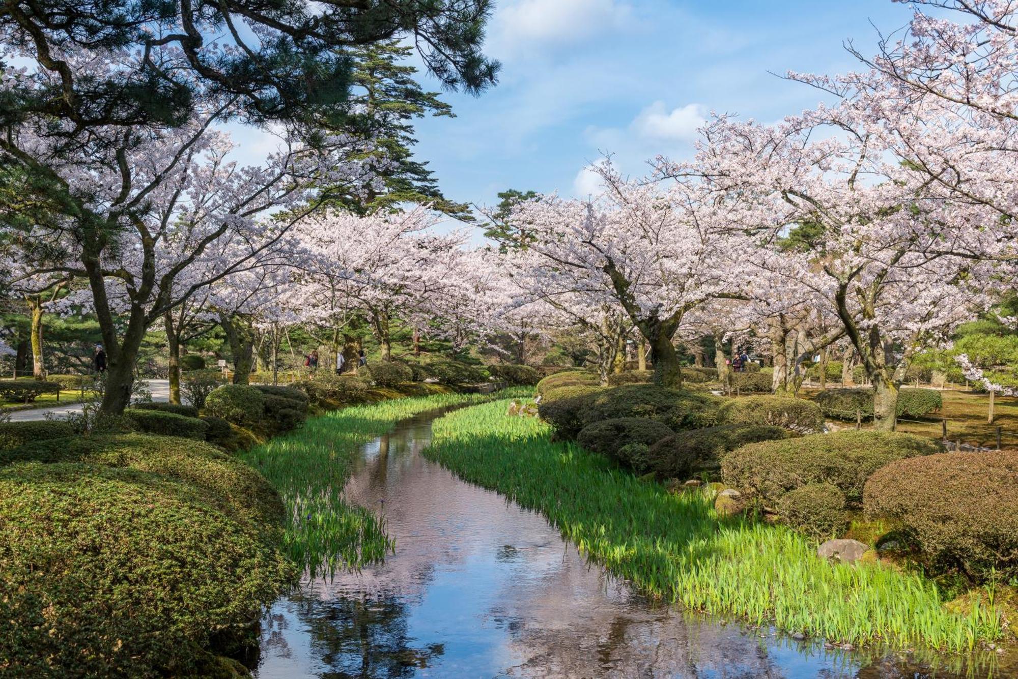 Tokyu Stay Kanazawa Dış mekan fotoğraf